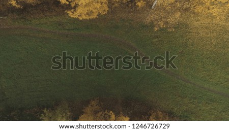Aerial top view over field and autumn forest in the morning