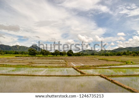 Landscape pictures of Sri Lanka