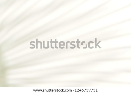 Abstract photo of blurred lines on white background