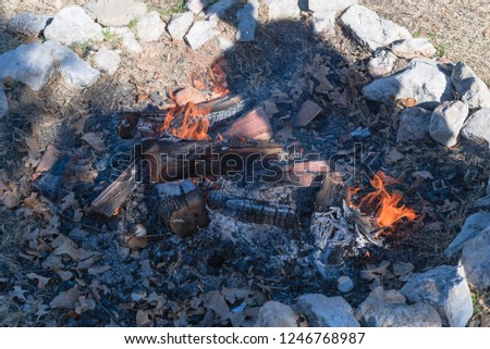 Close-up campfire in fire pit at campsite, camp fire burning brightly during sunny autumn day