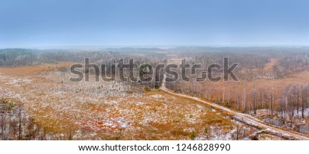 panorama from the air, the road through the winter forest, the trees are covered with ini, the first snow fell, the weather
