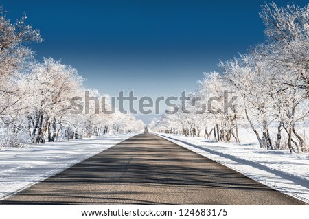 beautiful winter landscape with road and snow-covered trees Royalty-Free Stock Photo #124683175