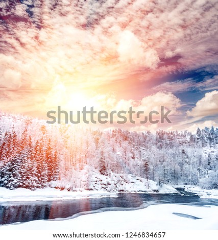 Amazing winter river and forest sunshine landscape
