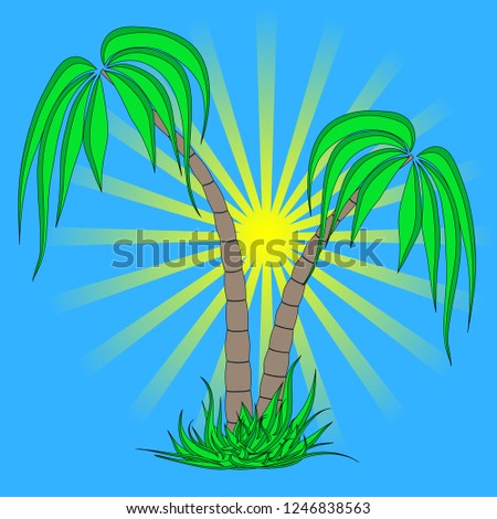 set of different palm trees on a blue sky sunrise background