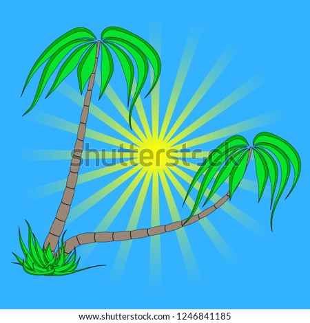 set of different palm trees on a blue sky sunrise background