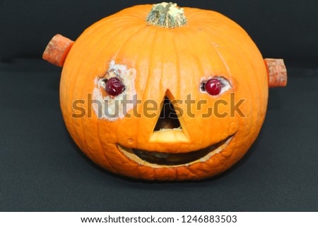 pumpkin decorated for a healthy diet. Eyes-cranberries, nose-carrots, mouth-garlic, carrot ears.Halloween