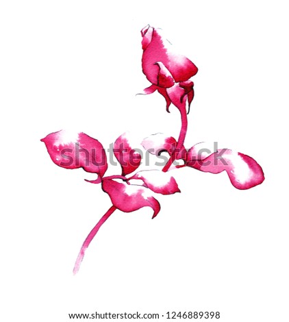 watercolor rosebud and leaves with red color 