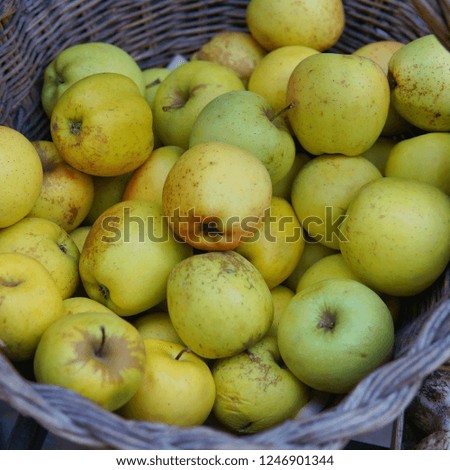 Apples in a wicker basket sold on the market