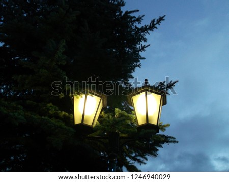 Cozy street lights on the background of the Christmas tree and the evening sky