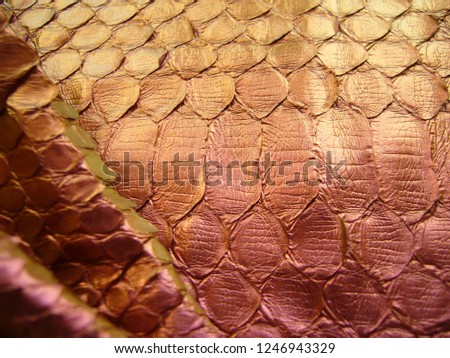 Texture of genuine leather, materials for bags, accessories. Genuine python skin, red snake skin.