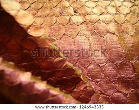 Texture of genuine leather, materials for bags, accessories. Genuine python skin, red snake skin.