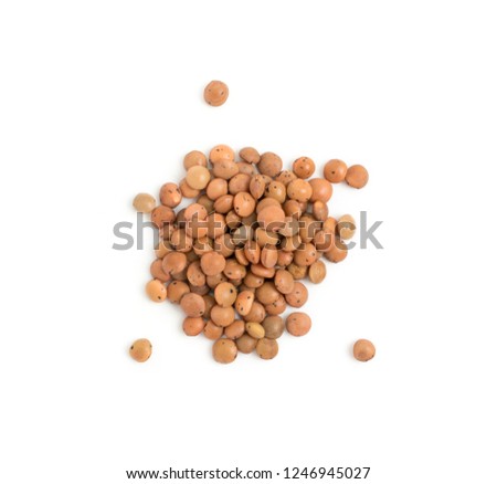 Dry brown lentils seeds or vegan protein source isolated on white background top view. Macro photo of edible legume of lens culinaris or lens esculenta close up