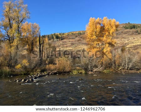 Yampa River. Steamboat Springs, Colorado.