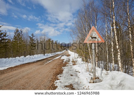 Road sign wild deer and animals on the background of the winter forest