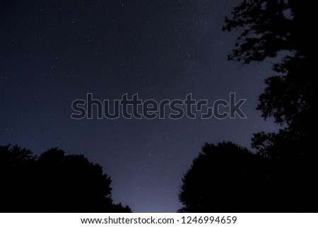 
starry sky with forest silhouettes