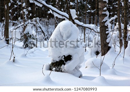 
Natural snowdrift like a snowman or a freezing waiting person in winter forest
