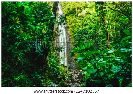 Hawaiian Jungle Waterfall