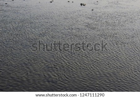 Ripples spread on the surface of a river