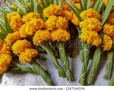 Thai people bring to the Buddha, Marigold, Flower bouquet 