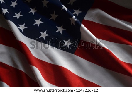 Flag USA texture