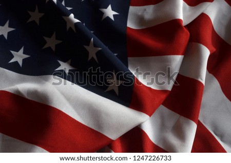 Flag USA texture