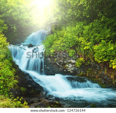 creek in forest Royalty-Free Stock Photo #124726144