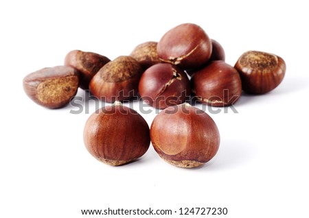 Chestnut  isolated on white background