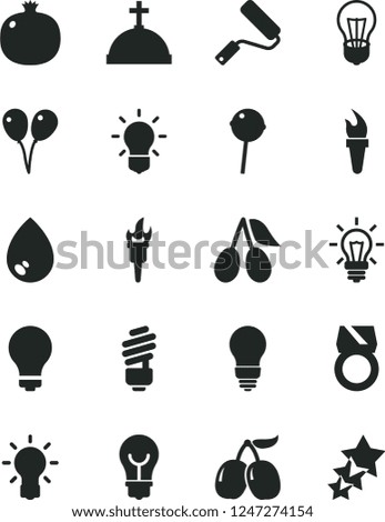 Solid Black Vector Icon Set - matte light bulb vector, colored air balloons, new roller, saving, drop, Chupa Chups, pomegranate, cornels, tasty, flame torch, gold ring, crown with cross, three stars