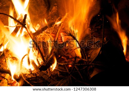 Campfire flame, black background.