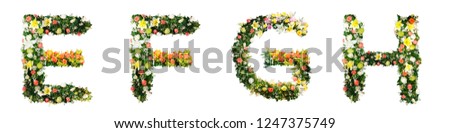 Alphabet letter E F G H made from colorful flowers isolated on white background. Letter collection design.