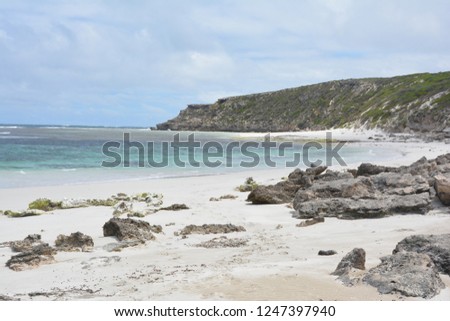 Beach kangaroo island