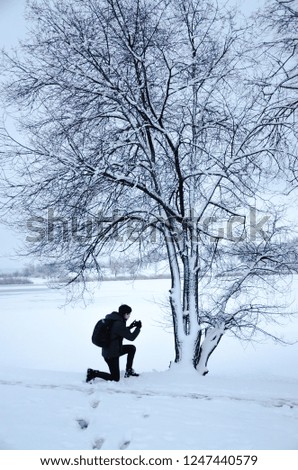 photographer chooses a good angle to take a picture of a tree in winter