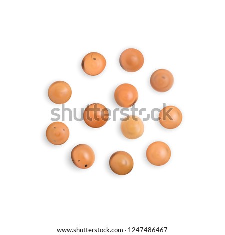 Vector realistic 3d illustration of dry brown lentils seeds isolated on white background top view. Edible legume of lens culinaris or lens esculenta close up Royalty-Free Stock Photo #1247486467