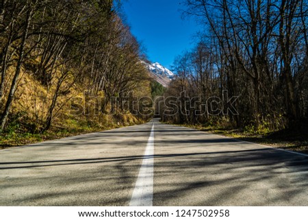 Empty road leading to mountains throught autumn forest