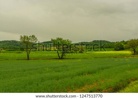 Tuscany, Italy - panorama in the middle of the fields