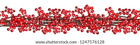 Hand drawn border with red berries. Vector round frame for Christmas cards and winter design. 