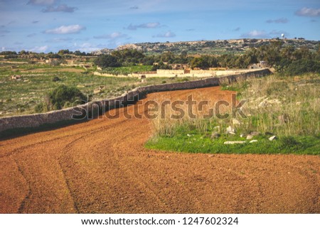 A photograph of a typical Mediterranean landscape with a stone wall.