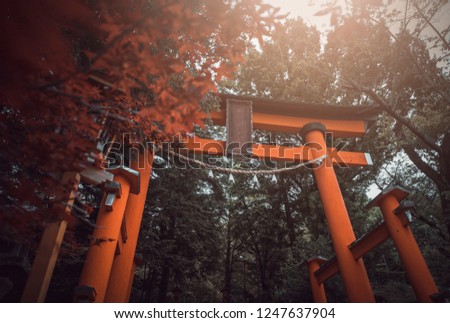 Torii gate of Chureito Pagoda in the spring on daytime in Fujiyoshida, Japan. Vintage tone