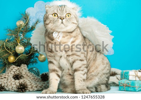 Christmas angel is a cute cat, with wings on the background of a decorated Christmas tree. New Year and Happy Christmas.