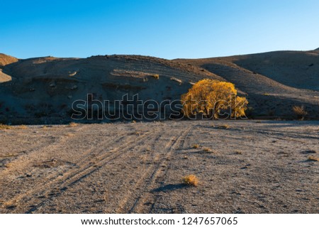 Autumn mountain landscape, yellow tree