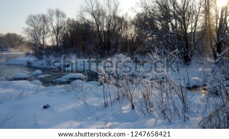 Snowy and sunny winter in Russia