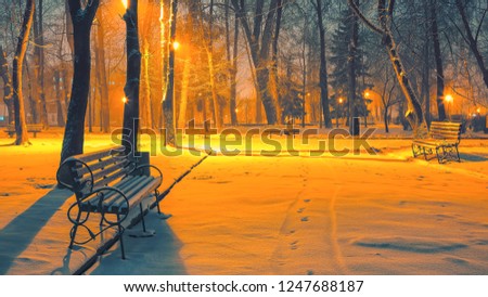 Winter park with benches covered with snow in the evening. Winter evening in a central park.