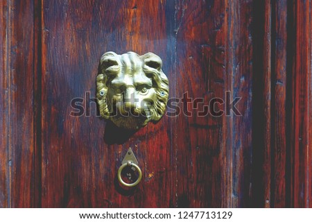 burgundy wooden door with a lion sign, wallpaper and art theme
