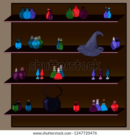 The wooden cupboard with different potions. The wizard hat on the shelf.
