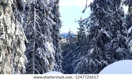 Winter in the mountains 