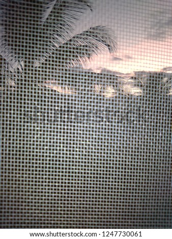 Close up picture of the Winter's dawn through my insect meshed window