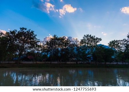 image of sunset sky on day time with silhouette tree for background usage.