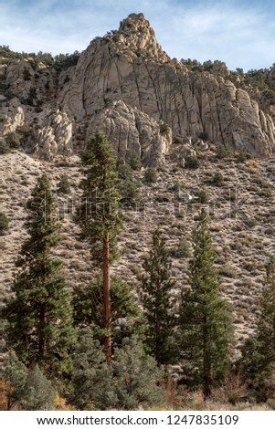 rocky peak pine trees below Inyo National Forest, California, USA