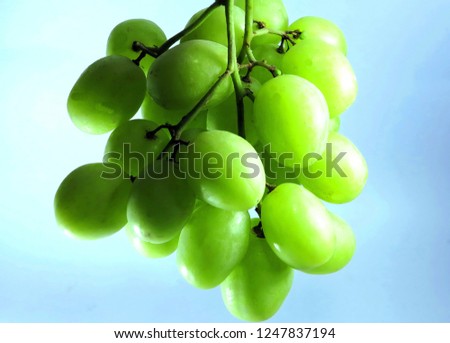 A bunch of green fresh grape  was isolated on the green-blue background.