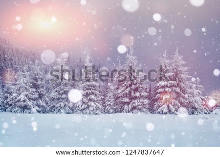 Beautiful place. Landscape of great Carpathian mountains at winter time. Scenic background.